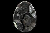 Septarian Dragon Egg Geode - Barite Crystals #88522-1